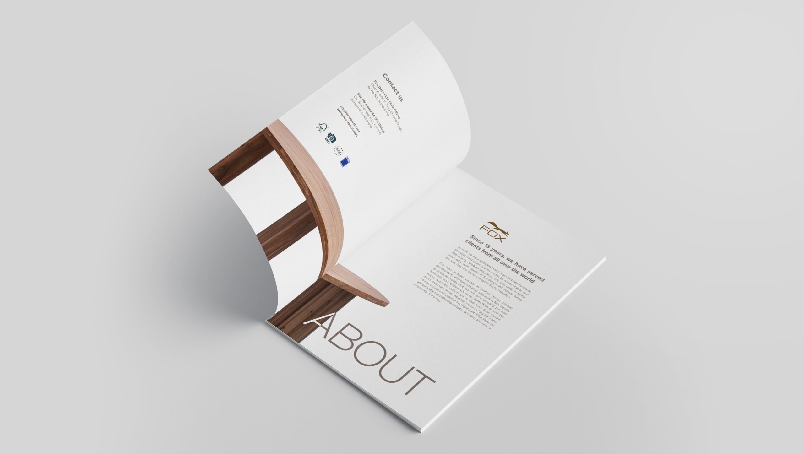 brochure design mockup of Fox's brand development journey