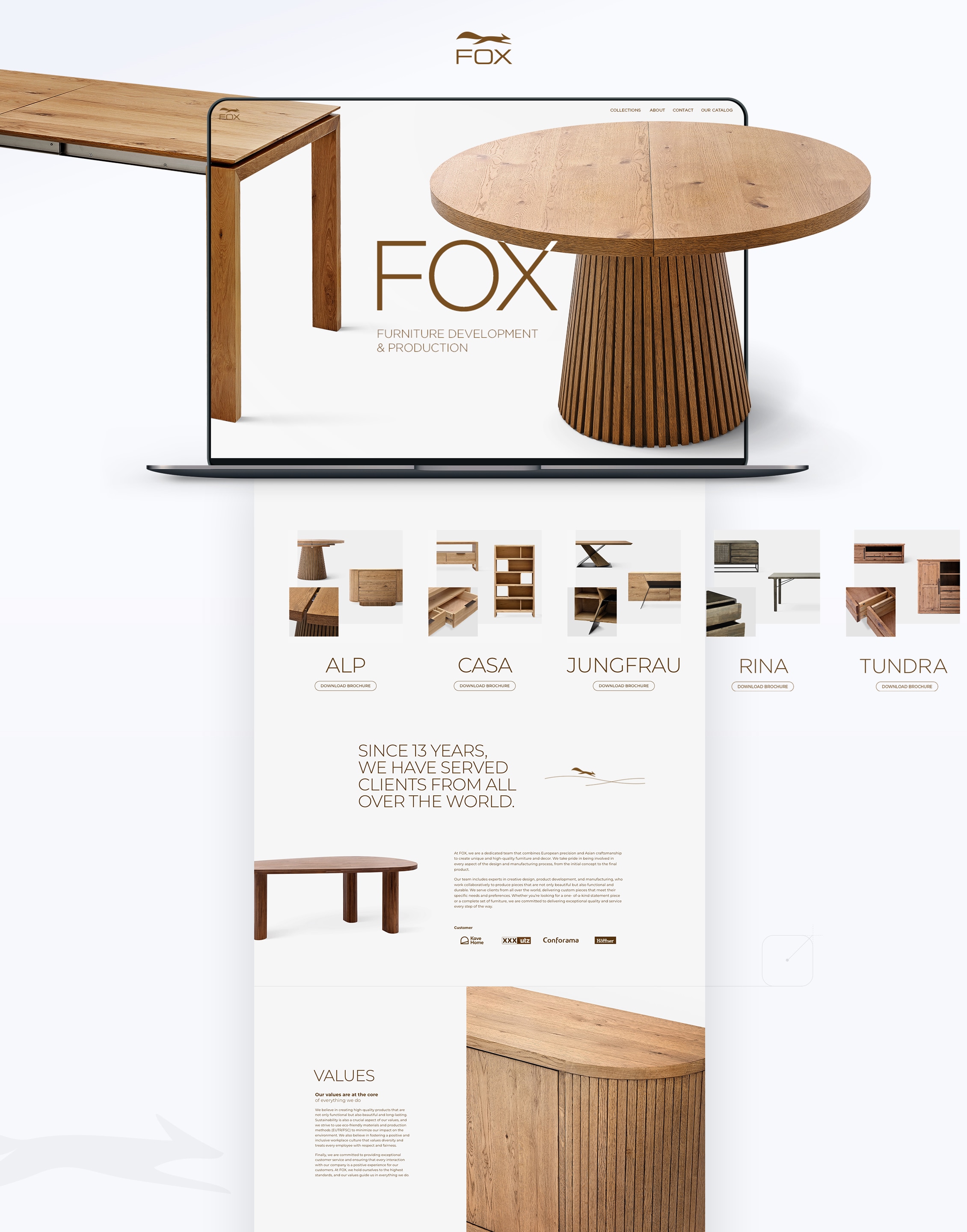 web design screenshot mockup showcasing fox's brand development